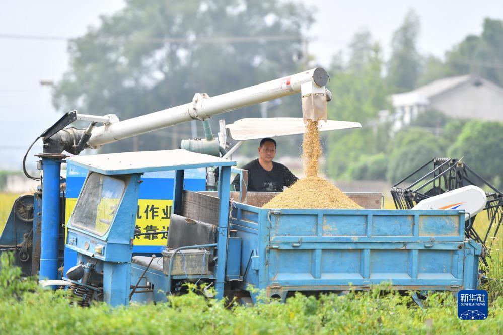 大哥大游戏城
